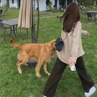 尸兄第二季